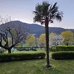 L'airone Cenerino *