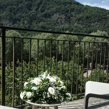 L'airone Cenerino *